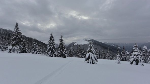 Fantastic Winter Landscape