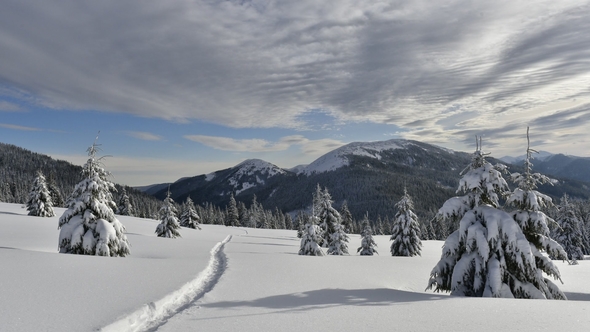 Fantastic Winter Landscape