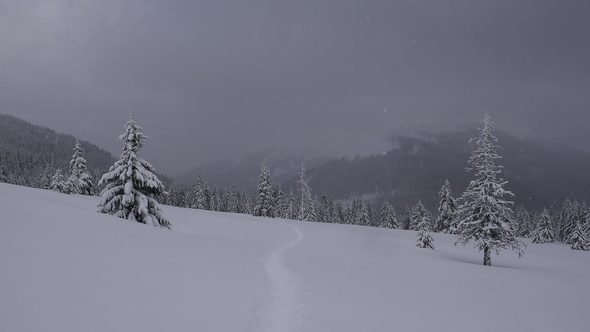 Fantastic Winter Landscape