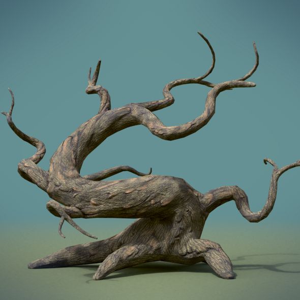 Tree - 3Docean 21952309