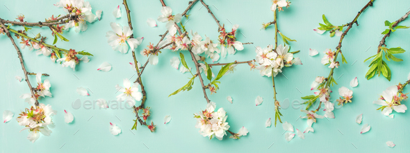 Spring floral background and texture with white almond flowers - Stock Photo - Images