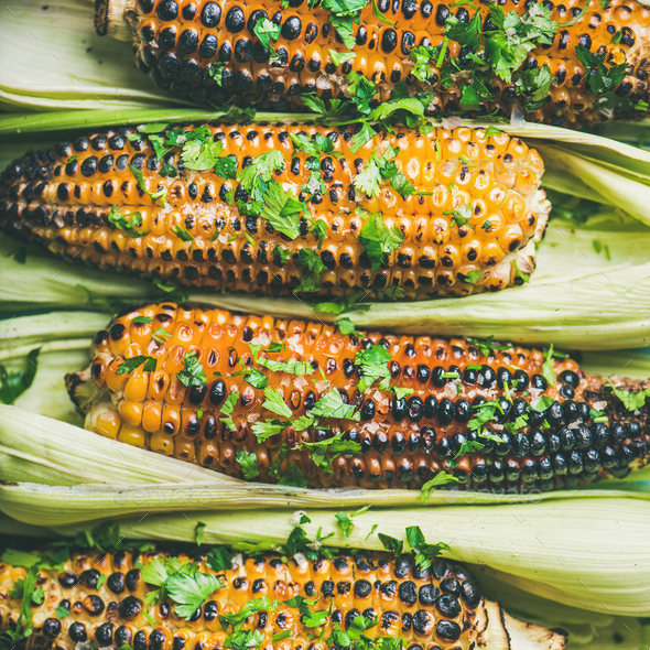 Flat-lay of grilled sweet corn with spices and herb, close-up - Stock Photo - Images