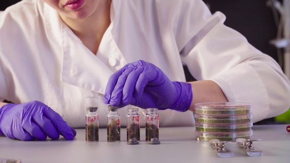 The Scientist's Hands Hands Close Bottles with Samples