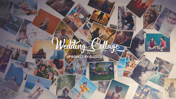 Wedding Collage - VideoHive 21895757