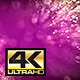 Fuchsia Particles Background 4k - VideoHive Item for Sale