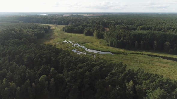 Aerial Survey of Forest and Marsh