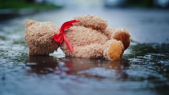The Abandoned Little Bear Lies on a Wet Road, It's Raining. Loss and Depression Concept alt