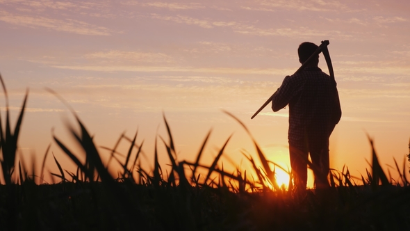 A Young Farmer with a Scythe Standing in a Field at Sunset. Silhouette ...