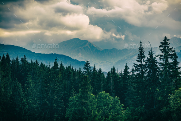 Inspiring Mountains Landscape, beautiful summer day in Tatras, P - Stock Photo - Images