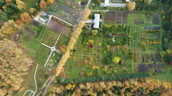 Public Botanic Garden Next in Yoshkar-Ola at Autumn Day. Aerial Video