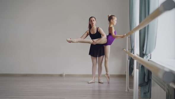 Diligent Little Ballet Student in Bodysuit Is Having Individual Ballet Lesson with Professional alt