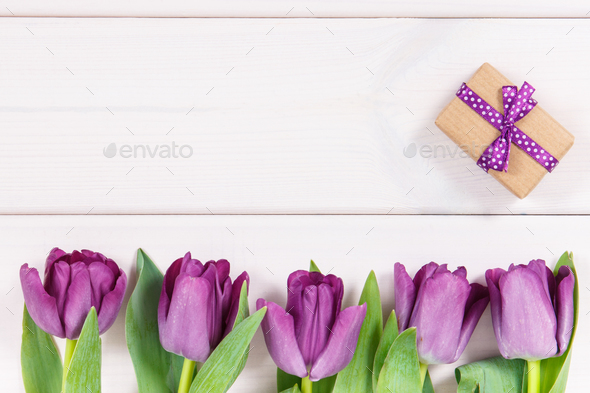 Purple tulips and gift for different occasions, copy space for text on white boards - Stock Photo - Images