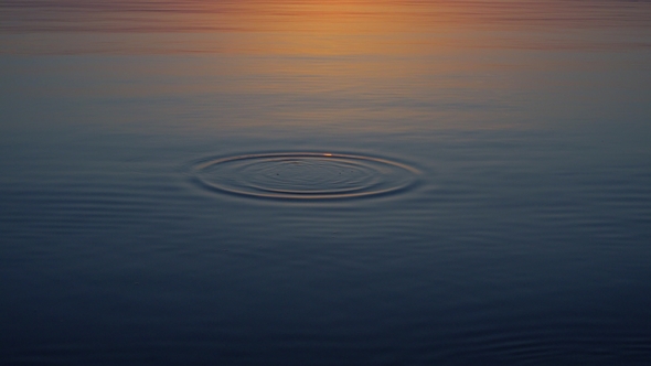 Small Wave on Calm Water Surface, Majestic Sunset Around