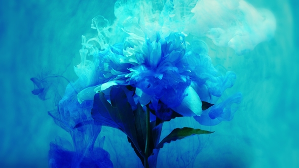 On Beautiful Flowers Pouring Paint alt