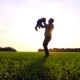 Happy Family Playing Nature in the Park at Sunset. The Father Holds His Son By the Arms and Turns - VideoHive Item for Sale