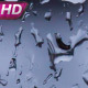 Drops of Rain on Glass - VideoHive Item for Sale
