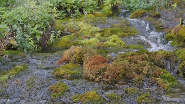 Waves, Spray and Foam, River Katun in Altai Mountains. Siberia, Russia alt