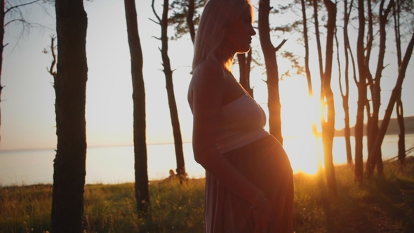 Beautiful Silhouette Pregnant Girl at Sunset