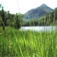 Snowdonia Meadow Pan - VideoHive Item for Sale