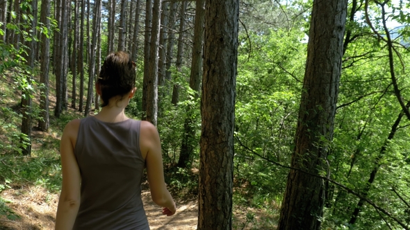 View From the Back To Traveler Woman Hiking on the Forest Trail Path in Mountain alt