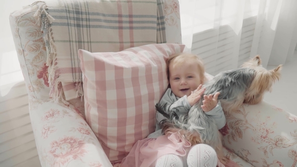 Little Girl and Dog Playing Together. . Beautiful Baby Play Wit Her Dog in the Armchair