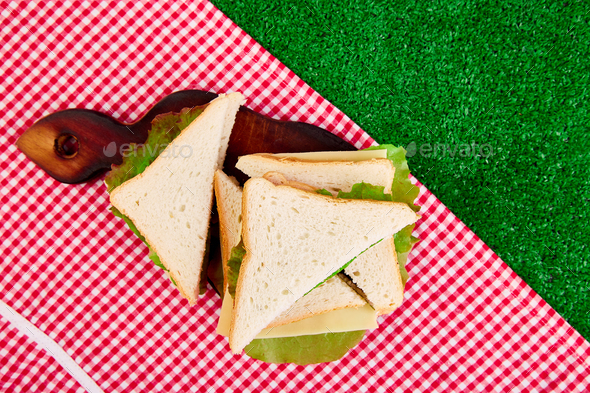 Picnic on the grass. - Stock Photo - Images