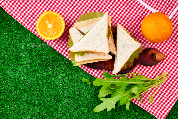 Picnic on the grass. - Stock Photo - Images