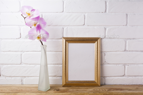 Gold decorated frame mockup with tender pink orchid - Stock Photo - Images