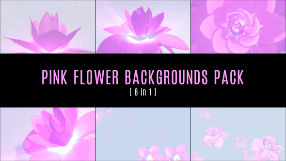 Pink Flower Backgrounds Pack (6 in 1)