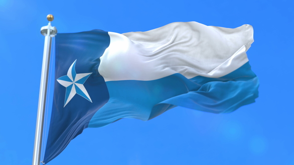 Flag of Dallas County, Motion Graphics | VideoHive