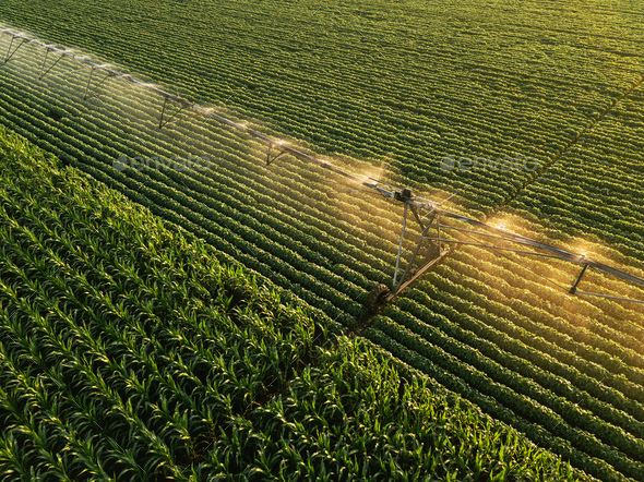 Aerial view of irrigation equipment watering green soybean crops - Stock Photo - Images