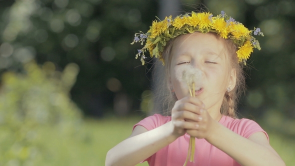 Portrait of a Funny Little Girl in the Woods. A Child Without Front Teeth Blows on Dry Dandelions alt