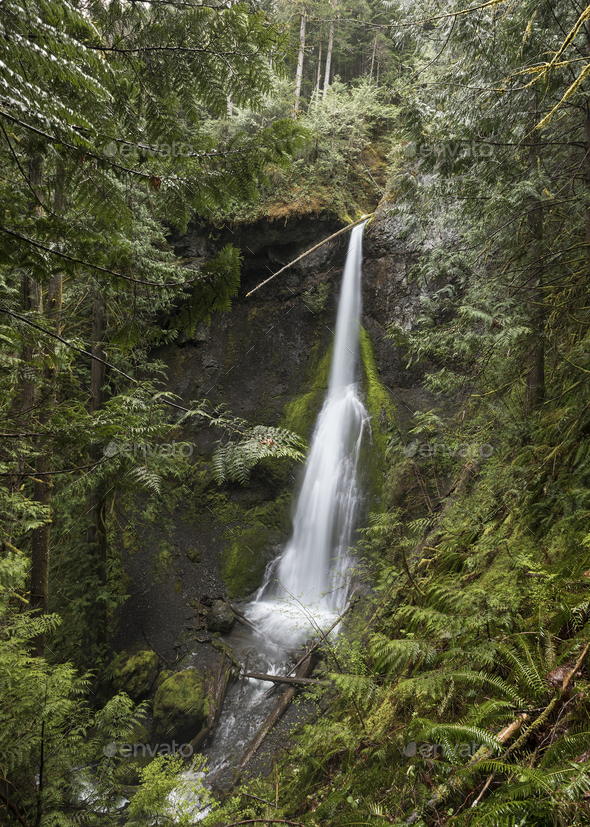 Marymere Falls in Olympic National Park Washington - Stock Photo - Images