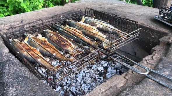 Grilled Fish on the Grill