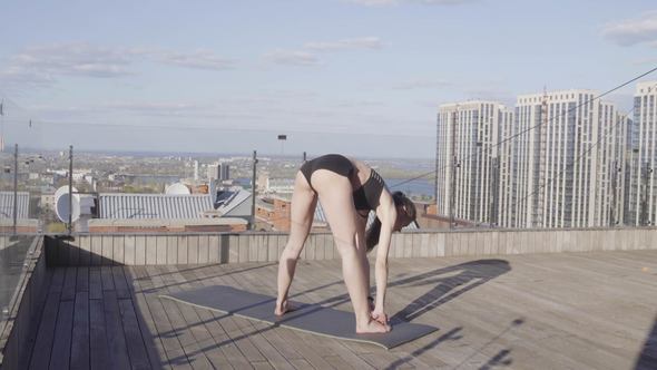 Woman Fitness Stretching and Push-ups