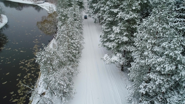 View of Car Moving in Winter Forest