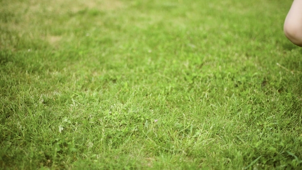 Children Feet on Green Grass