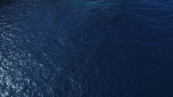 Flight Over Seashore at Tenerife