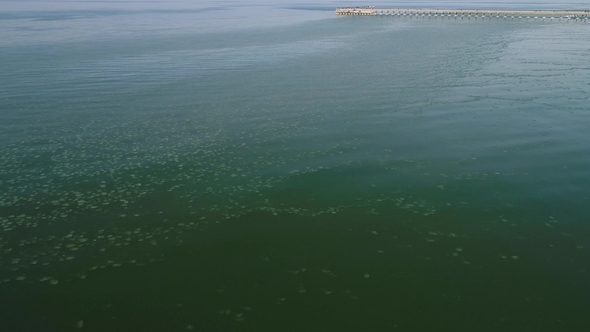 View of Small Ice in the Sea