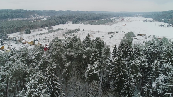 View of Winter Snowy Forest