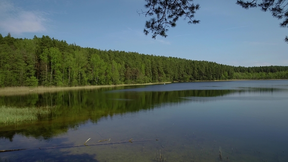 Beautiful Lake View