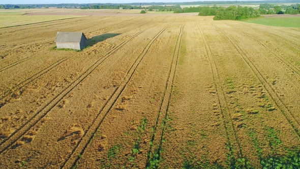 Wheat Field Aerial 