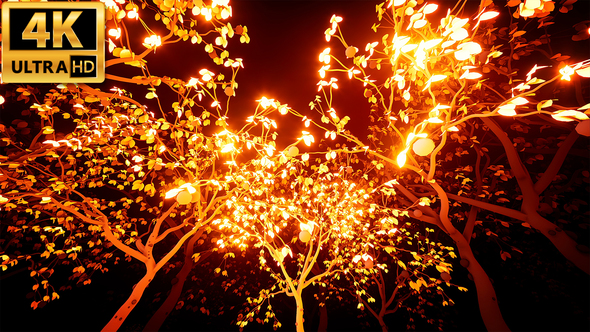 Gold Light Trees 4k