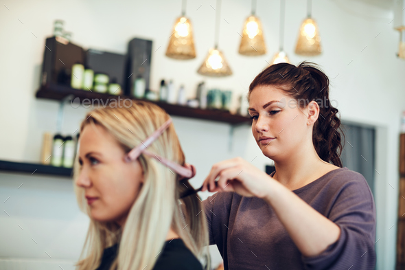 Young hairdresser styling a clients hair in her salon Stock Photo by UberImages