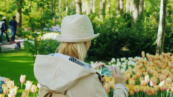 The Tourist Makes a Photo of the Flower Beds of a Tulip in a Park of Flowers alt
