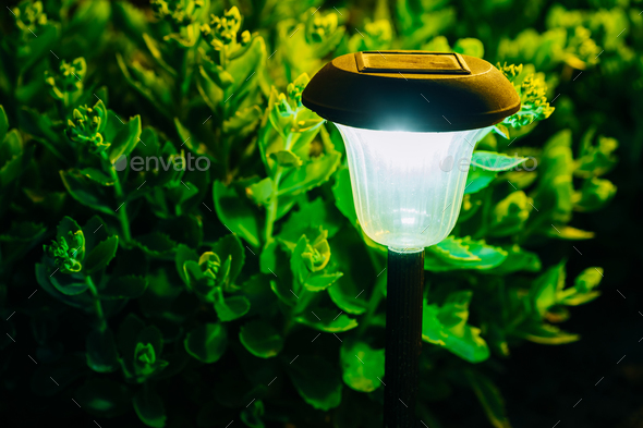 Small Solar Garden Light, Lantern In Flower Bed. Garden Design. Stock Photo by Grigory_bruev