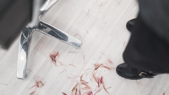 View of Unrecognizable Hairdresser Cutting Her Clients Hair. It Is Falling alt