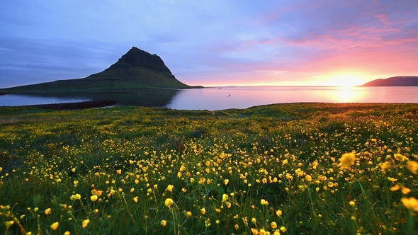 Fantastic Sunset in Iceland with a Sharp Mountain and a Pink Sky Make an Incredible Picture