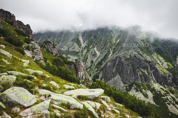 The mist getting down on the Tatras, Slovakia. - Stock Photo - Images