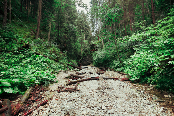 Tourist trail in the Tatra Mountains, Slovakia. - Stock Photo - Images
